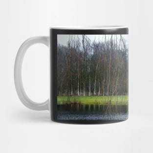 Little pond Mug